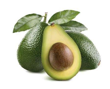 Ecuadorian Avocato for export, the most competitive prices on the market.