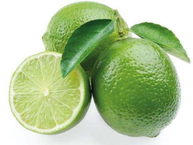 Ecuadorian Lemon for export, the most competitive prices on the market.