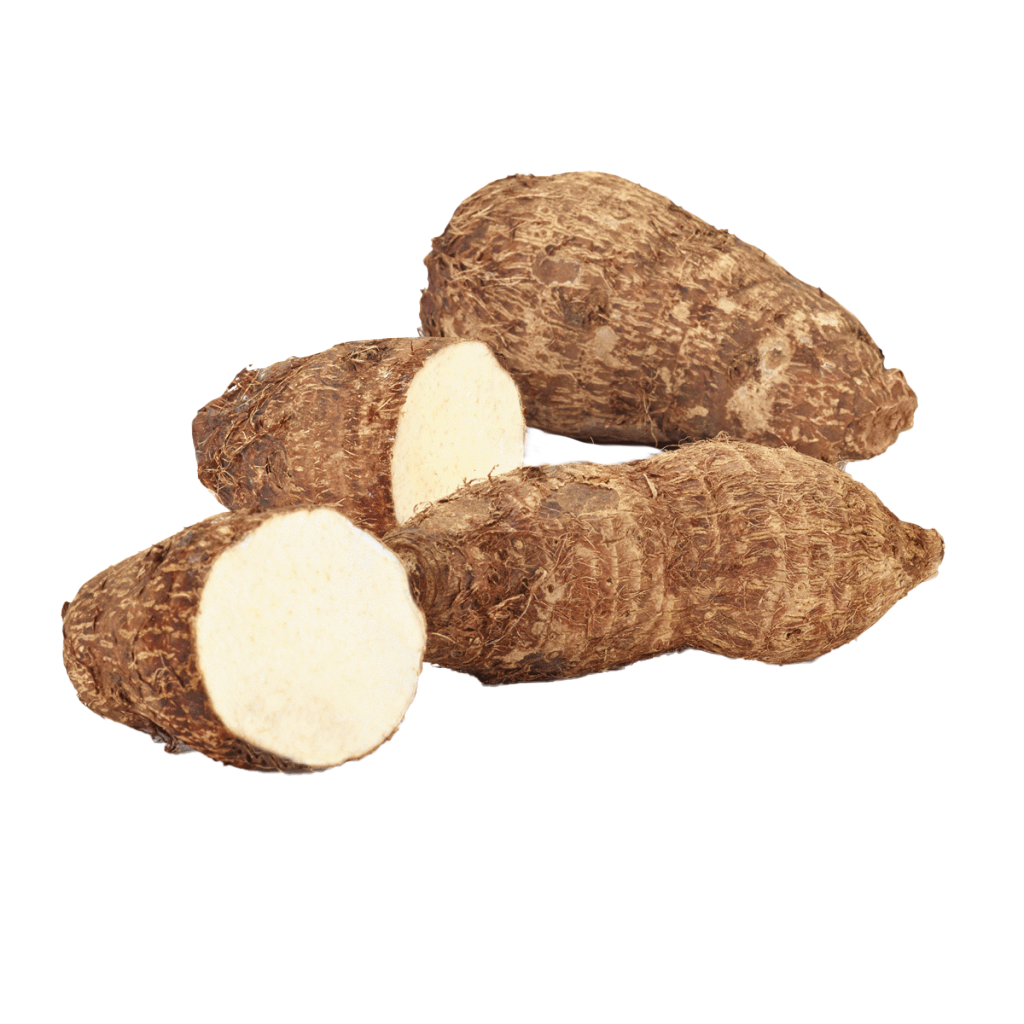 Ecuadorian malanga for export, the most competitive prices on the market.