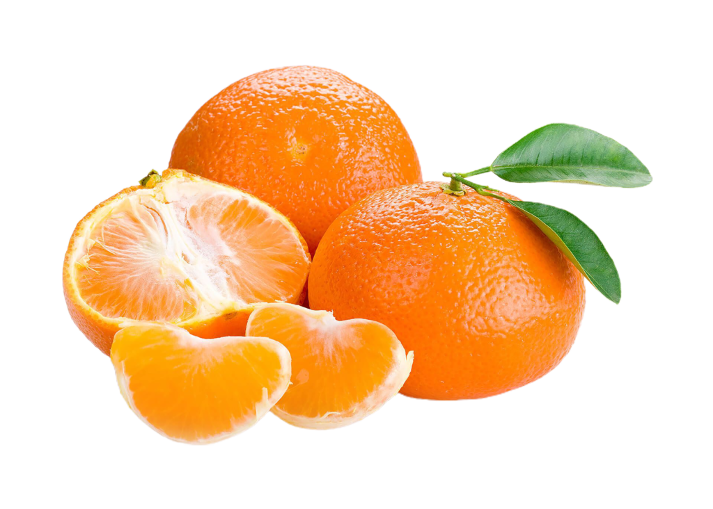 Ecuadorian tangarine for export, the most competitive prices on the market.